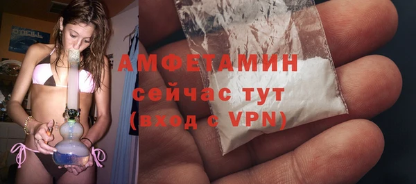сатива Балахна