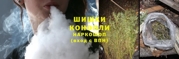 сатива Балахна