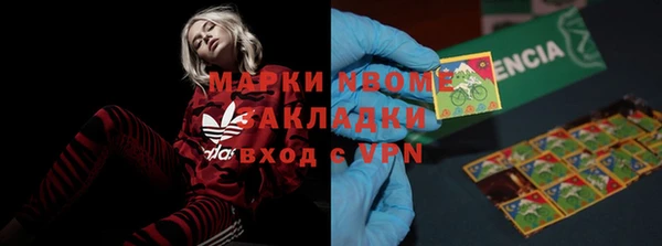 сатива Балахна