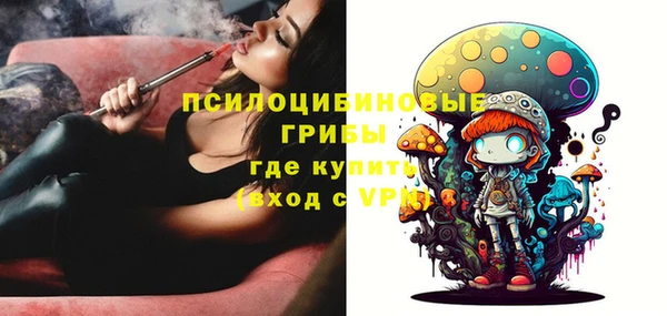 сатива Балахна