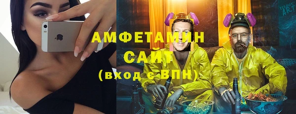 сатива Балахна